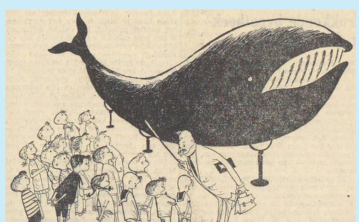 Illustratie van Fiep Westendorp bij de komst van de walvis, Haarlems Dagblad 1952
