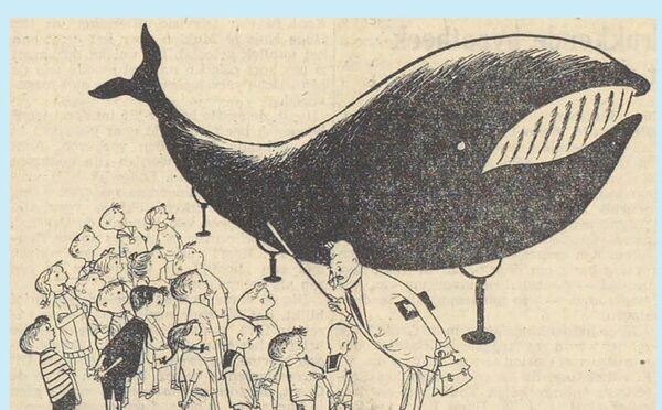Illustratie van Fiep Westendorp bij de komst van de walvis, Haarlems Dagblad 1952