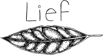 Logo Café Lief