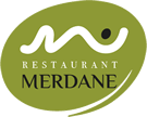 Logo Merdane
