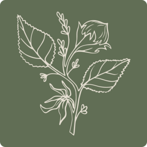 Logo Hazel Coffeebar