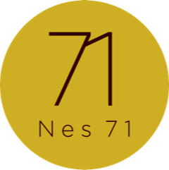 Logo Nes 71