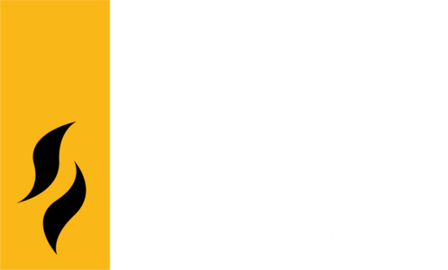 Logo Spare Rib Express