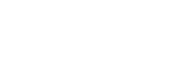 Logo Bloomingdale