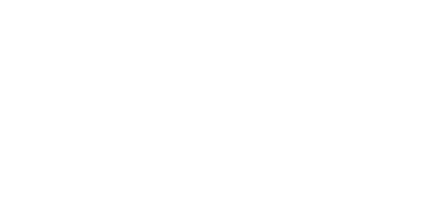 Logo Borski