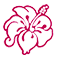 Logo The Spot