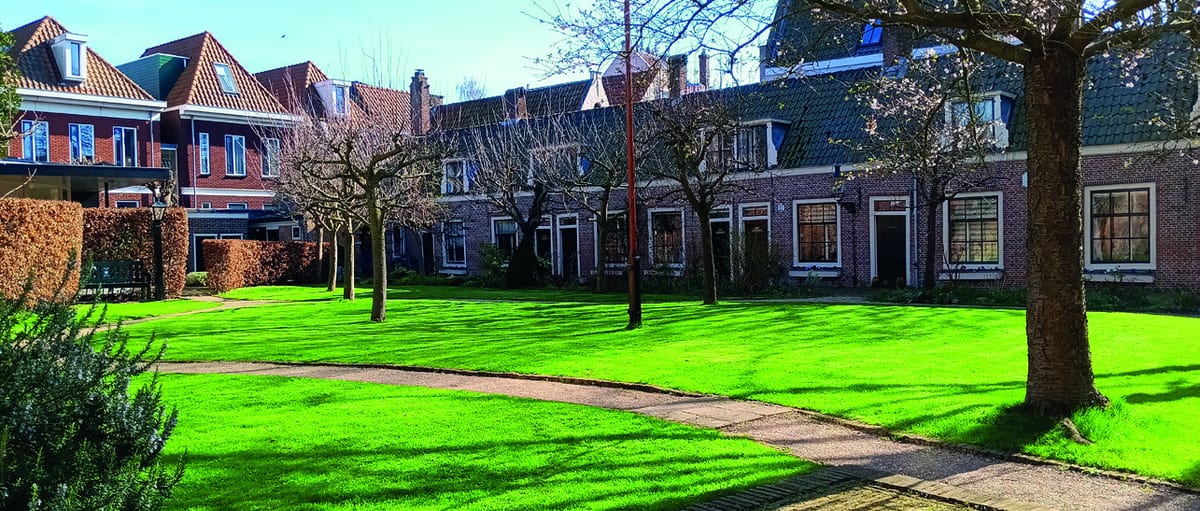 Zonnige hofjestuin met gazon, kale bomen en lage woningen rondom, uit de reeks HRLMse Hofjes