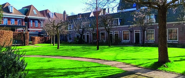 Zonnige hofjestuin met gazon, kale bomen en lage woningen rondom, uit de reeks HRLMse Hofjes