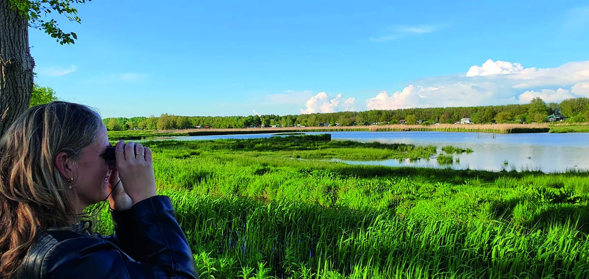 Myrthe Elbers kijkt door een verrekijker over het riet en het water van de Hekslootpolder onder een blauwe lucht