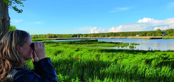 Myrthe Elbers kijkt door een verrekijker over het riet en het water van de Hekslootpolder onder een blauwe lucht
