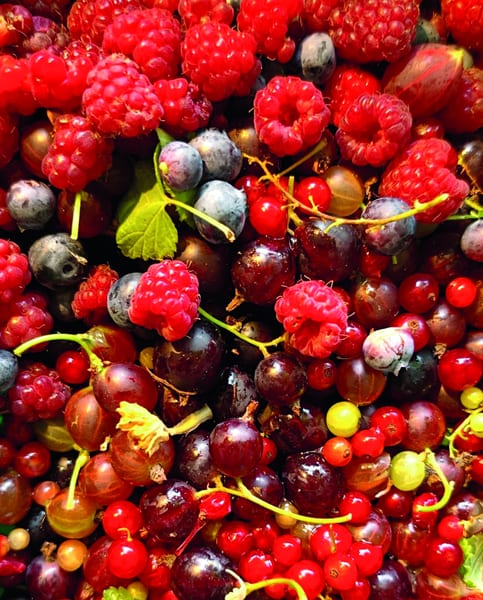 Een berg vers zomerfruit van dichtbij: frambozen, rode aalbessen en blauwe bessen dicht op elkaar